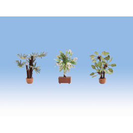 L-C minis Mediterrane Pflanze